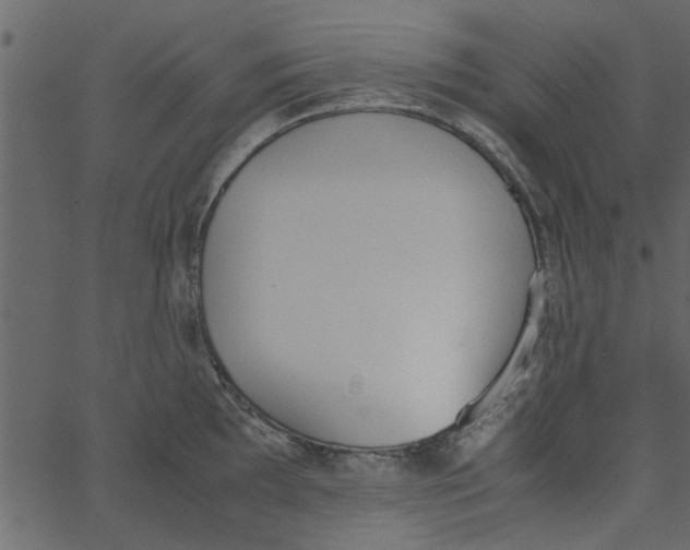 X0000062671097200601111237