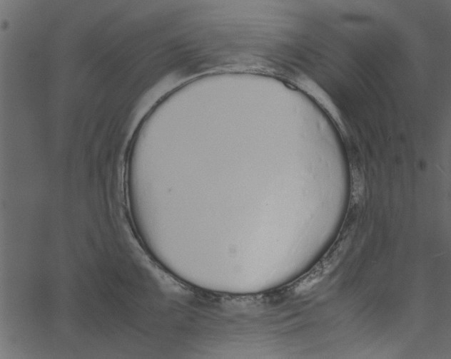 X0000062671099200601111237