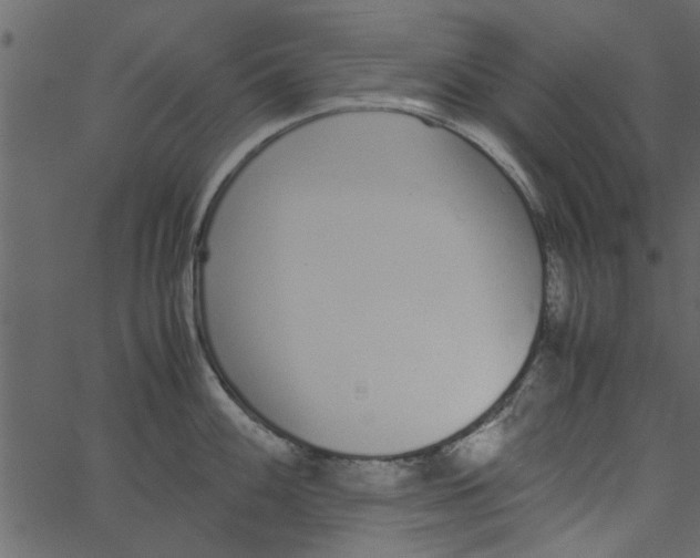 X0000062671100200601111237