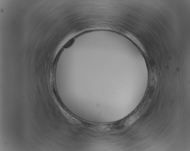 X0000062671101200601111237