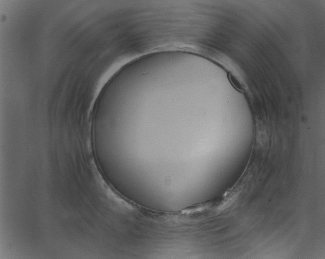 X0000062671102200601111237