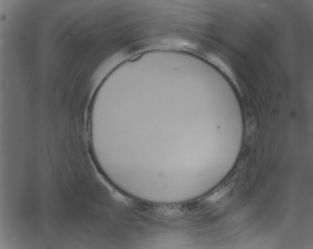 X0000062671103200601111237