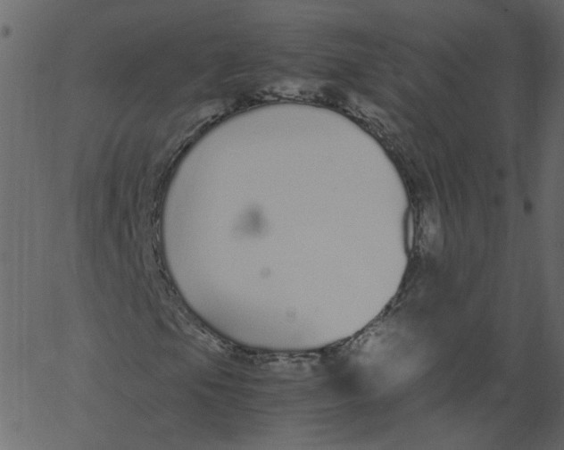 X0000062671105200601111237