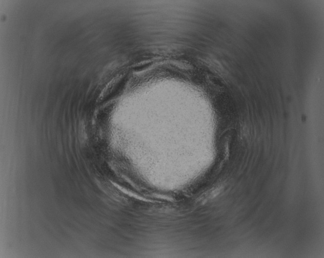 X0000062671106200601111237