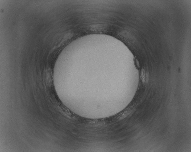 X0000062671107200601111237