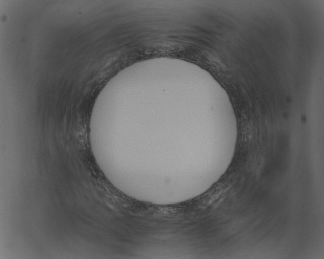 X0000062671109200601111237