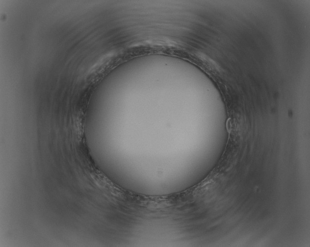 X0000062671110200601111237