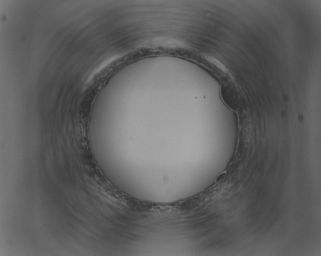 X0000062671112200601111237