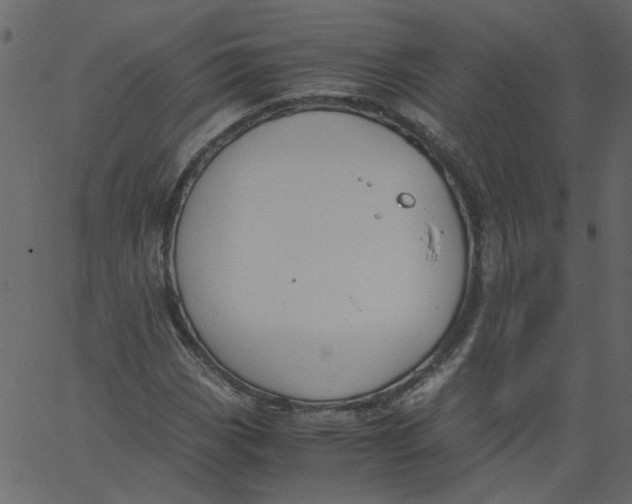 X0000062671113200601111237