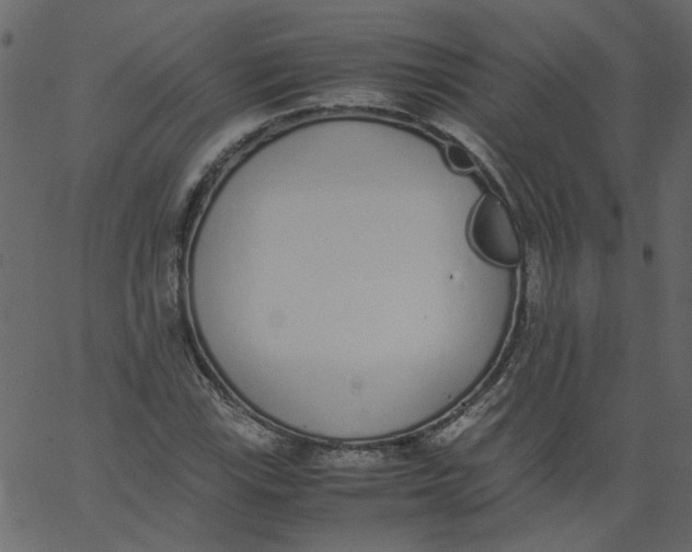 X0000062671115200601111237