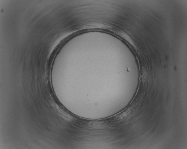 X0000062671116200601111237