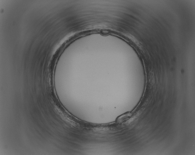 X0000062671118200601111237