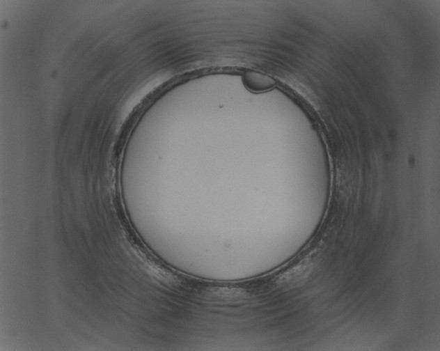 X0000062671119200601111237