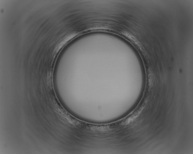 X0000062671121200601111237