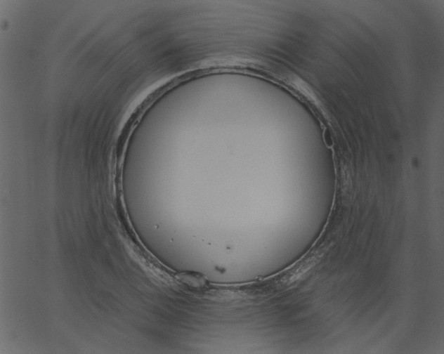 X0000062671124200601111237