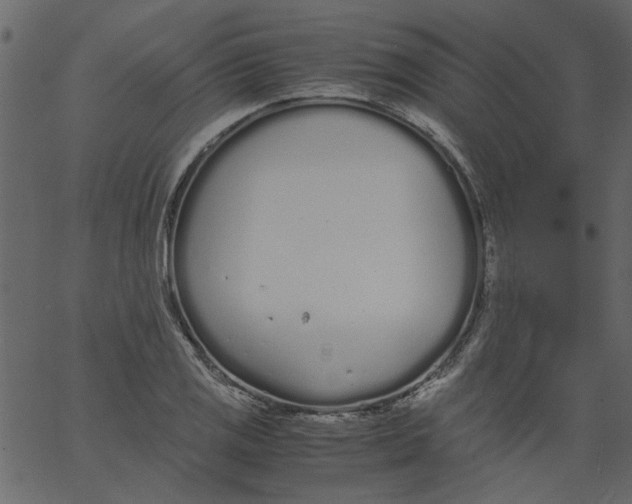 X0000062671125200601111237