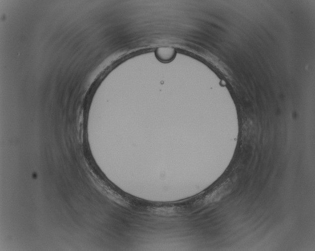 X0000062671126200601111237