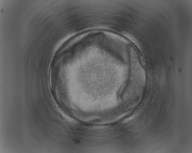 X0000062671127200601111237