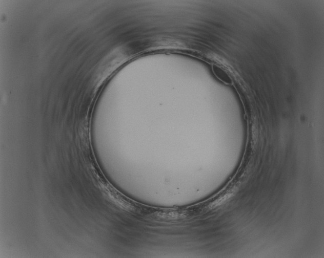 X0000062671129200601111237