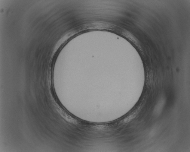 X0000062671130200601111237