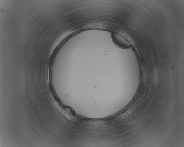 X0000062671131200601111237