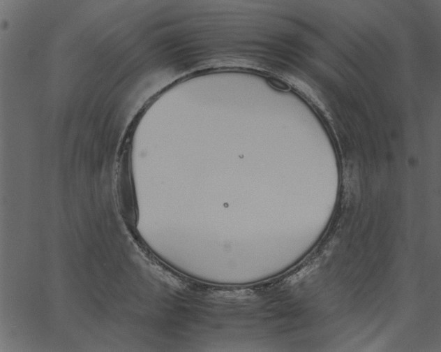 X0000062671133200601111237