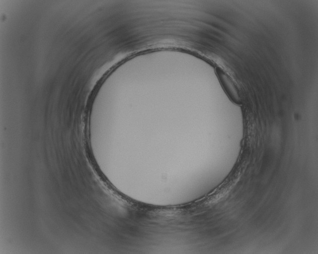 X0000062671134200601111237