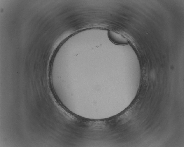 X0000062671135200601111237