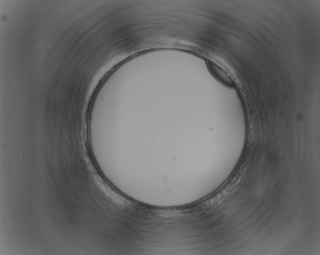 X0000062671136200601111237