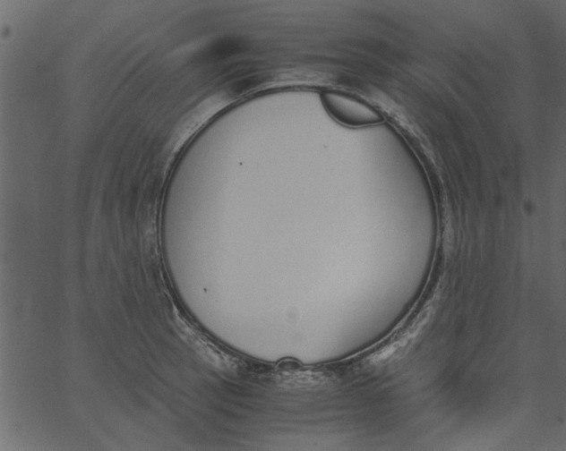 X0000062671137200601111237