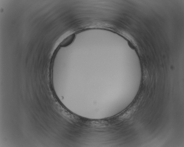 X0000062671138200601111237