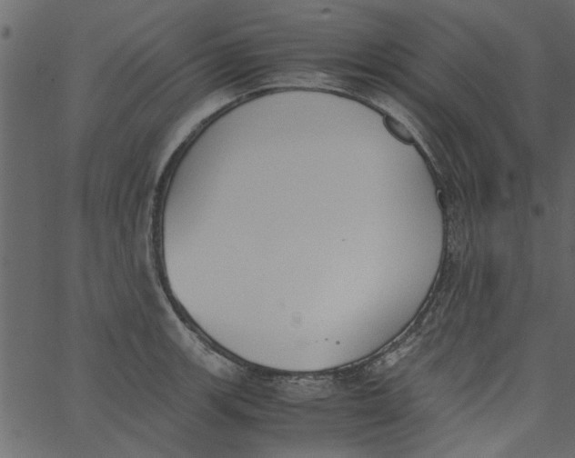 X0000062671139200601111237