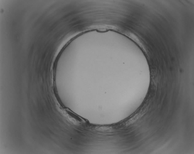 X0000062671140200601111237