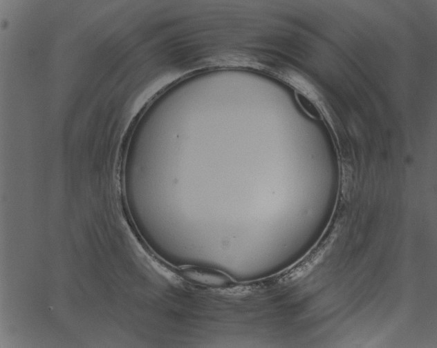 X0000062671141200601111237