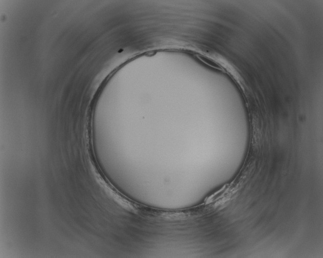 X0000062671142200601111237