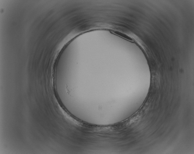 X0000062671143200601111237