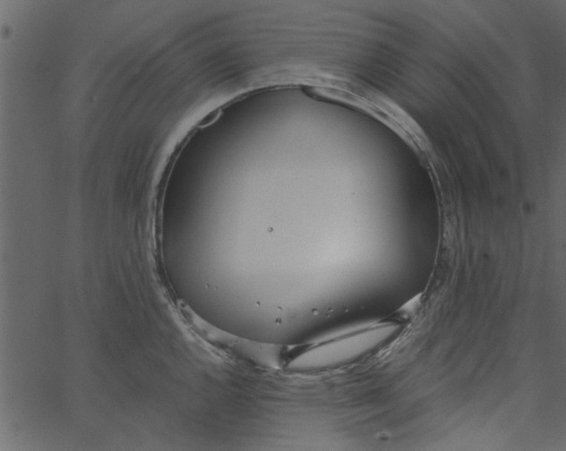 X0000062671144200601111237