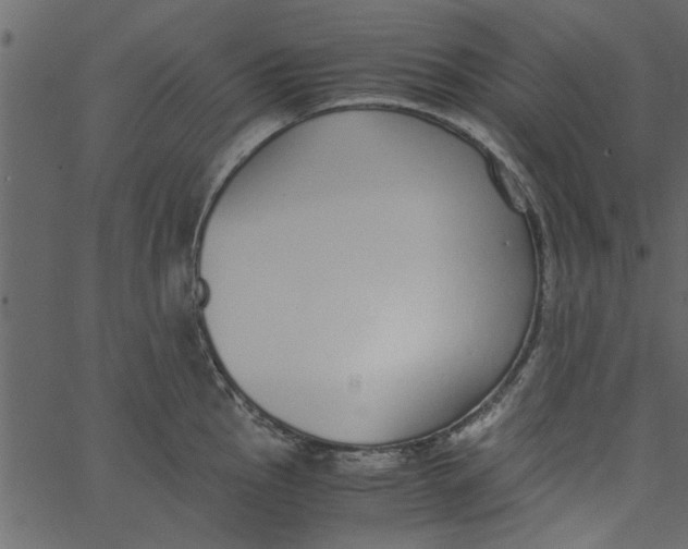 X0000062671145200601111237