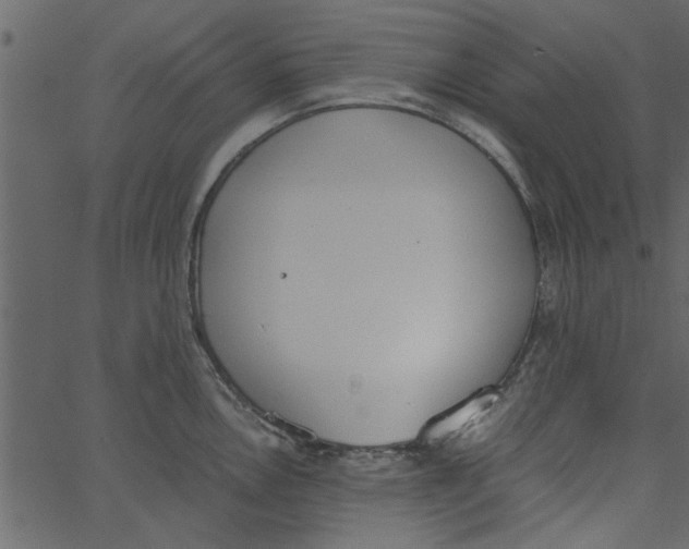 X0000062671146200601111237