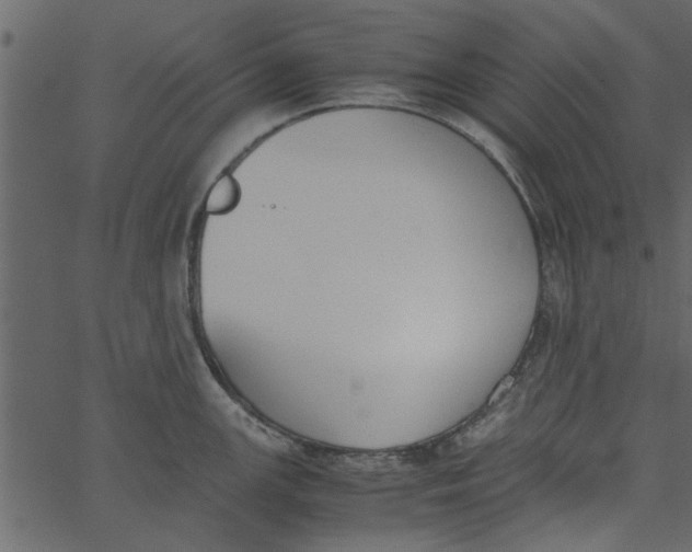 X0000062671147200601111237