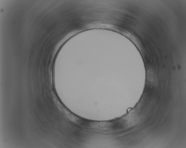 X0000062671150200601111237