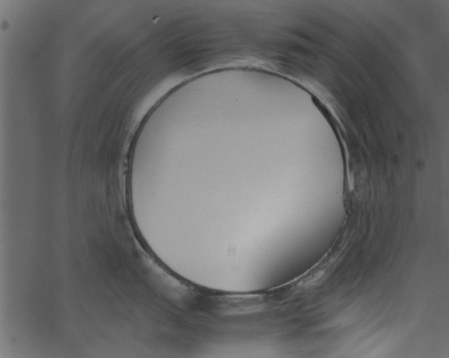 X0000062671151200601111237