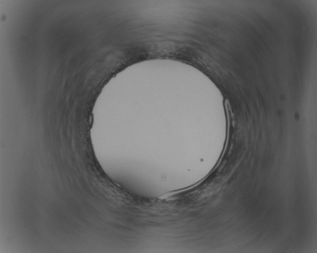 X0000062671153200601111237