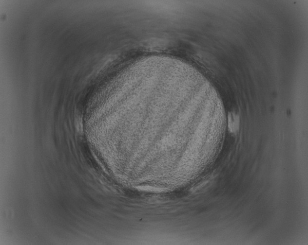 X0000062671155200601111236