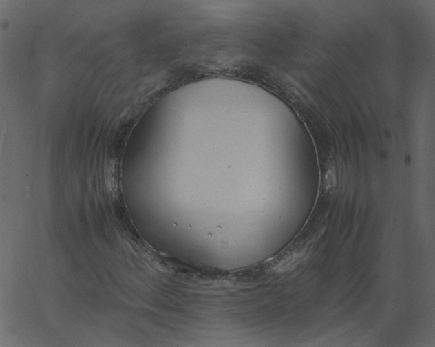 X0000062671156200601111236