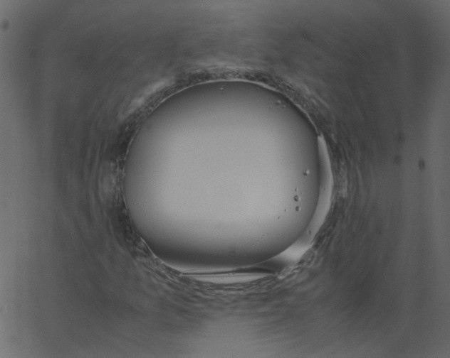 X0000062671157200601111236