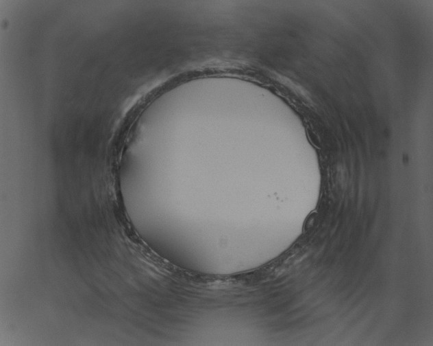 X0000062671160200601111236