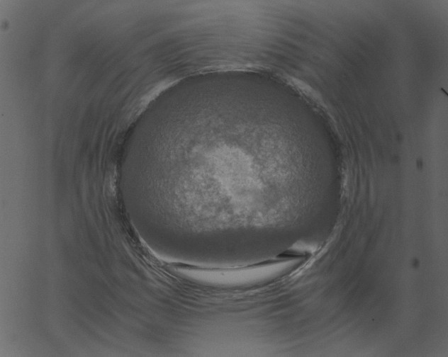 X0000062671161200601111236