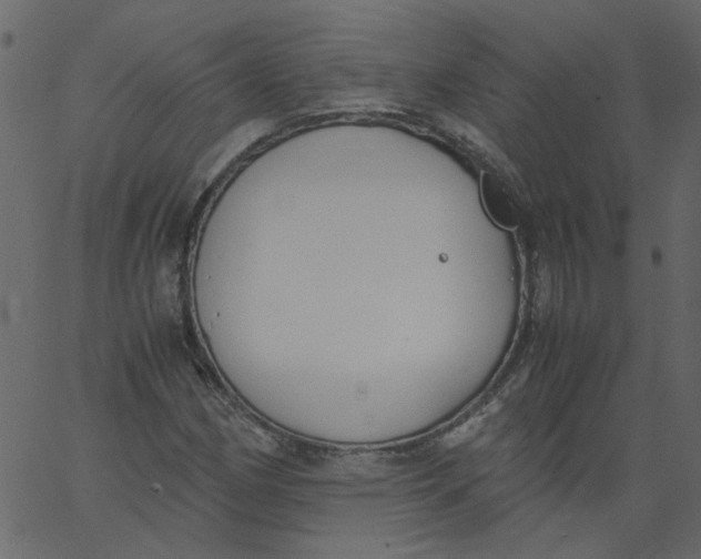 X0000062671162200601111236