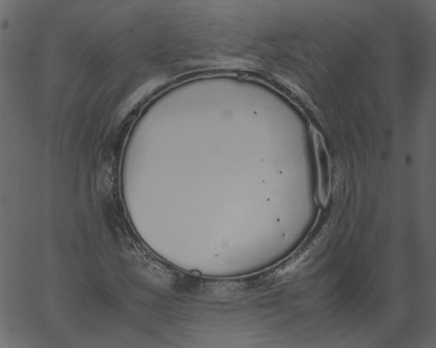 X0000062671163200601111236